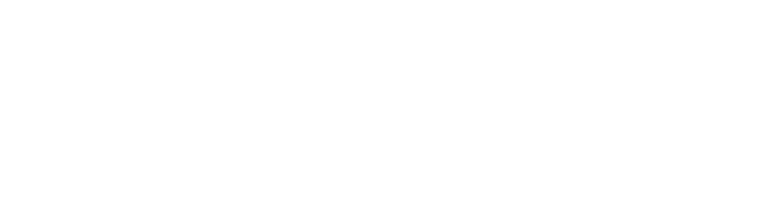 netline-logo-white-1